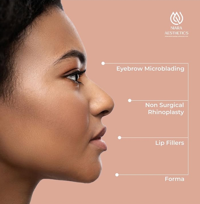 Niara Aesthetics facial treatments diagram — microblading, rhinoplasty, lip fillers, Forma
